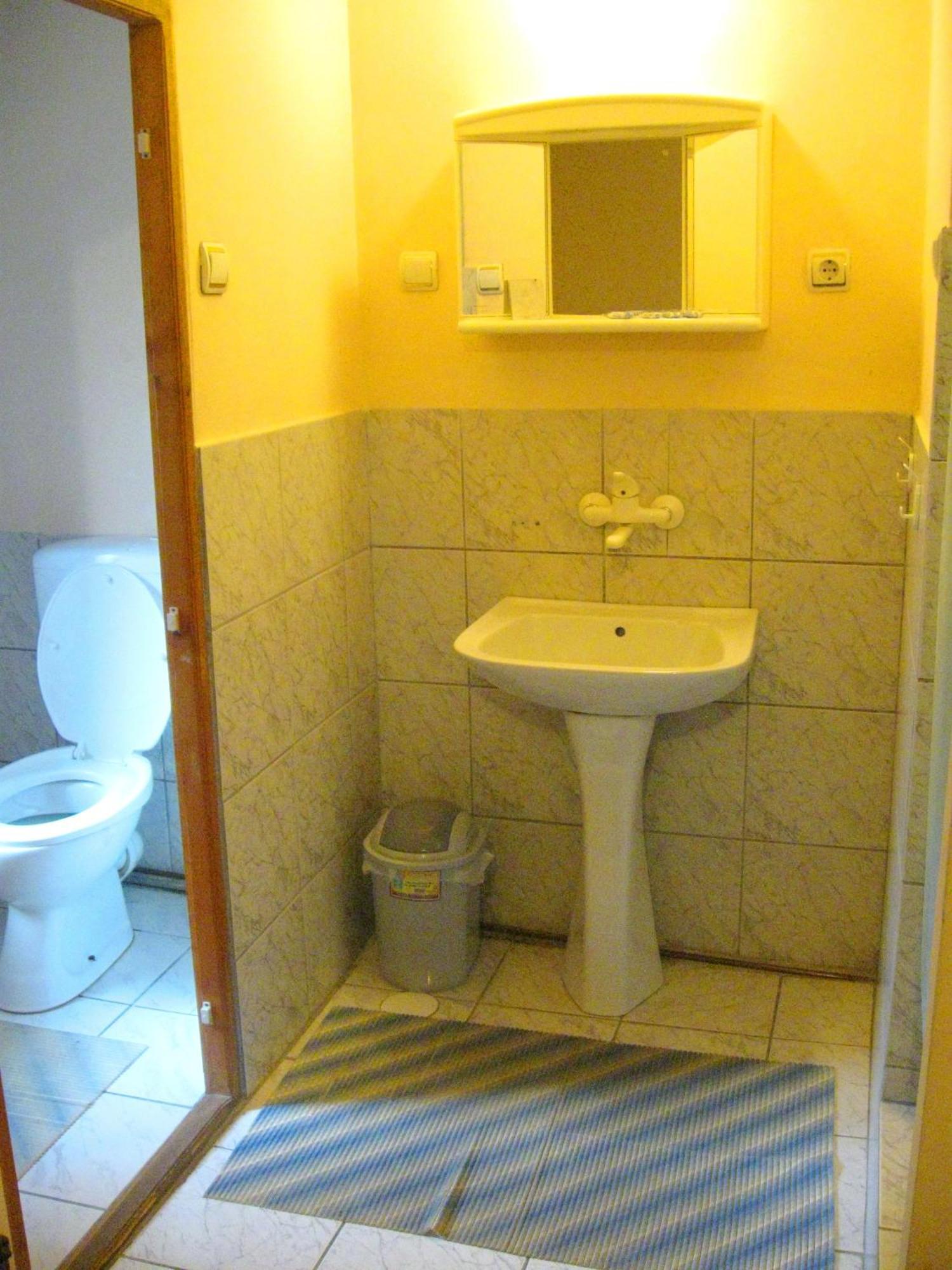 Amfora Rooms Caribrod Dimitrovgrad Habitación foto